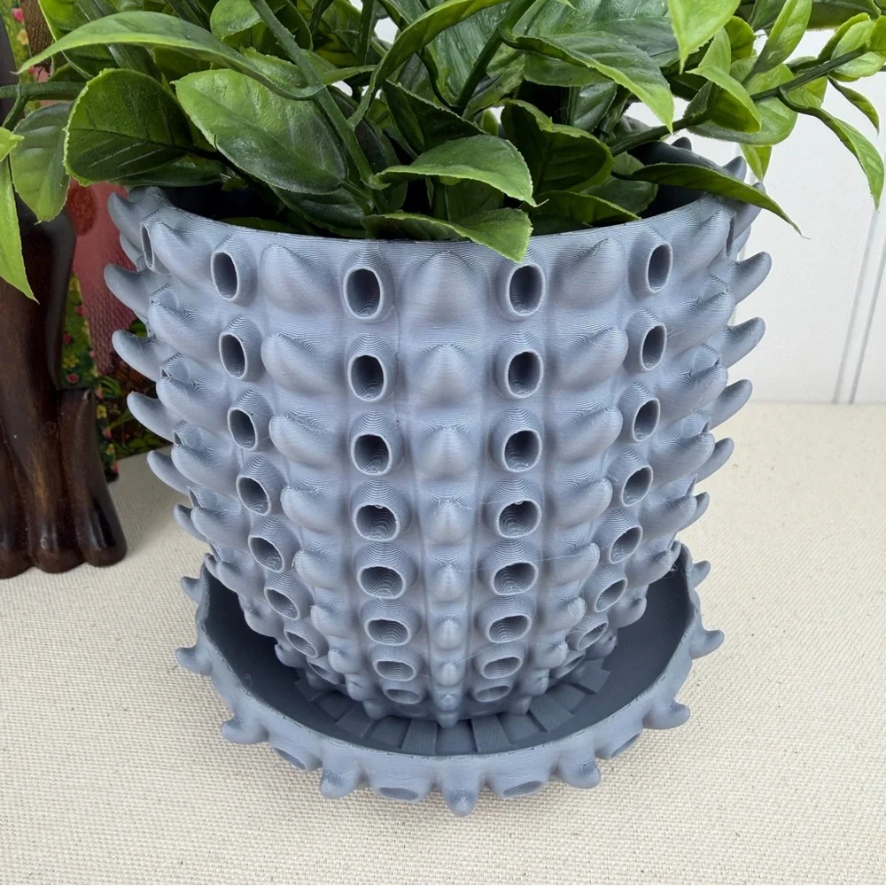 Barnacle Planter Pot, Indoor Flower Pot, Houseplants